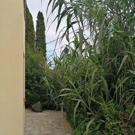 Casa Ninfea Panzio شقة