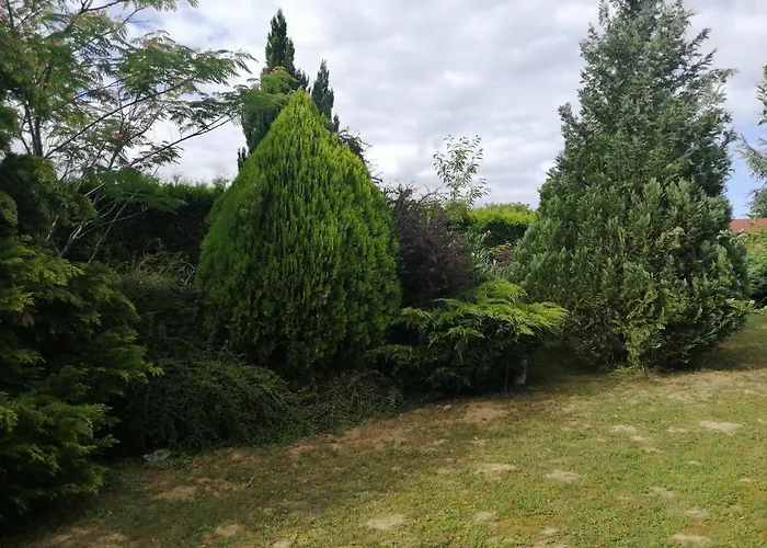 Lejlighed Casa Ninfea Panzio