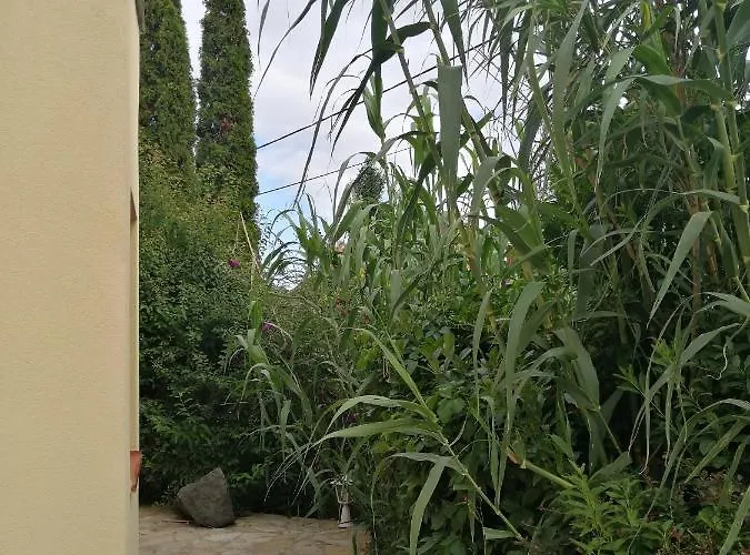 Casa Ninfea Panzio Lejlighed